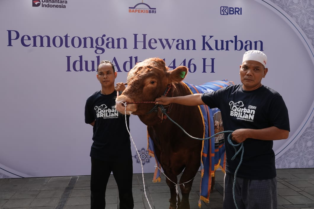 Bapekis dan Karyawan BRI Salurkan 961 Hewan Kurban untuk Masyarakat di Momen Iduladha 1446 Hijriyah