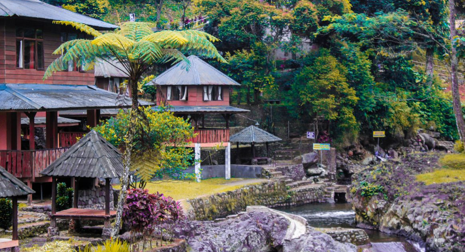 Kolam Renang dan Alam Wisata Alam dengan Penginapan di Purwokerto yang Cocok untuk Keluarga