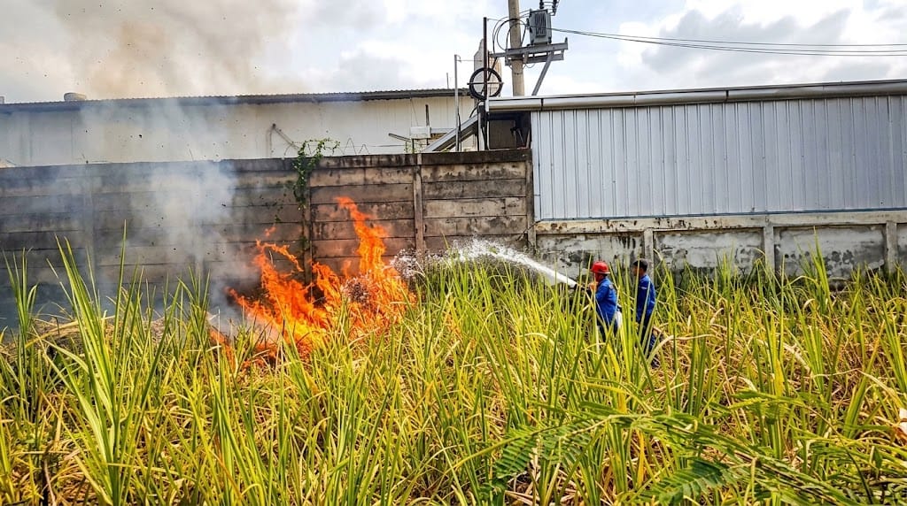 Gudang Alfamart Penusupan Tegal Nyaris Ludes Terbakar, Api dari Kebakaran Lahan 