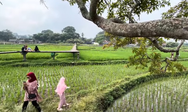 3 Wisata Alam di Salatiga yang Sepi Padahal Menarik dan Eksotis