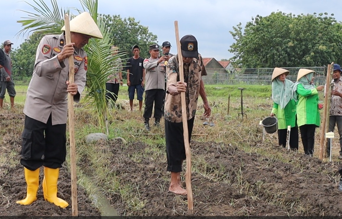 Polres Tegal Tanam Jagung 1 Juta Hektare Dukung Program Ketahanan Pangan