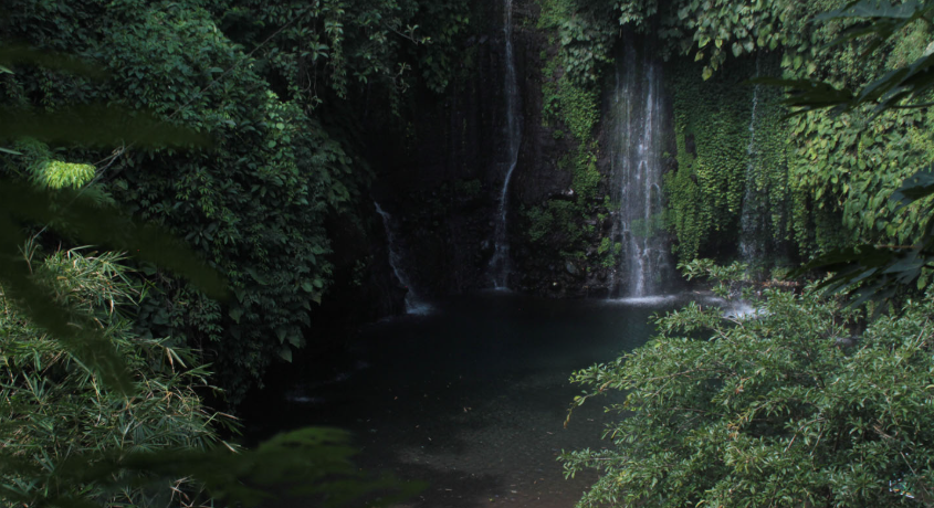 6 Wisata di Pulosari Pemalang yang Belum Diketahui Banyak Orang, Ada Air Terjun dan Hutan yang Rindang