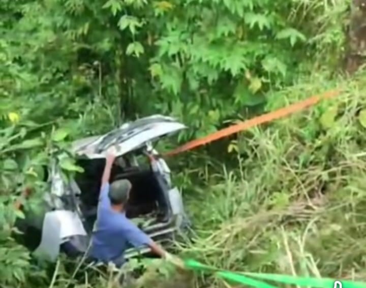Mobil MPV Terperosok ke Kebun Warga di Exit Tol Pekalongan, Diduga Hilang Kendali