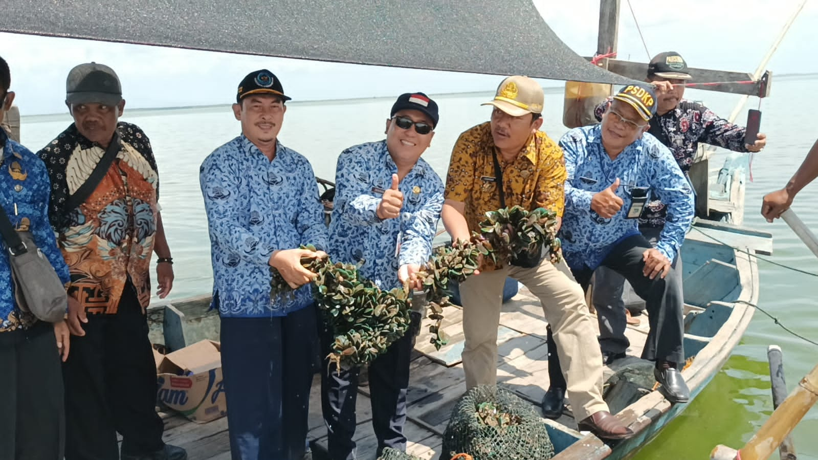 Potensial! Budidaya Kerang Hijau Mulai Dikembangkan di Brebes