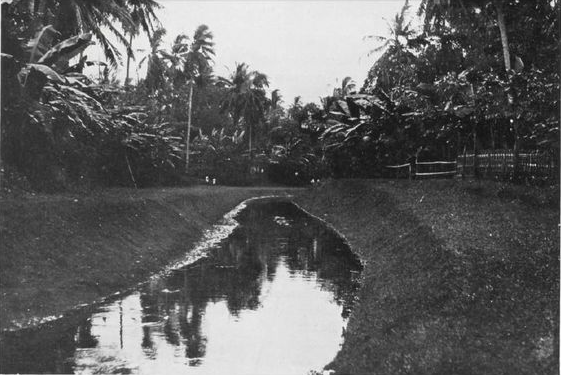 Tegal Dulunya Daerah Apa? Ternyata Desa yang Berada di Lokasi Ini