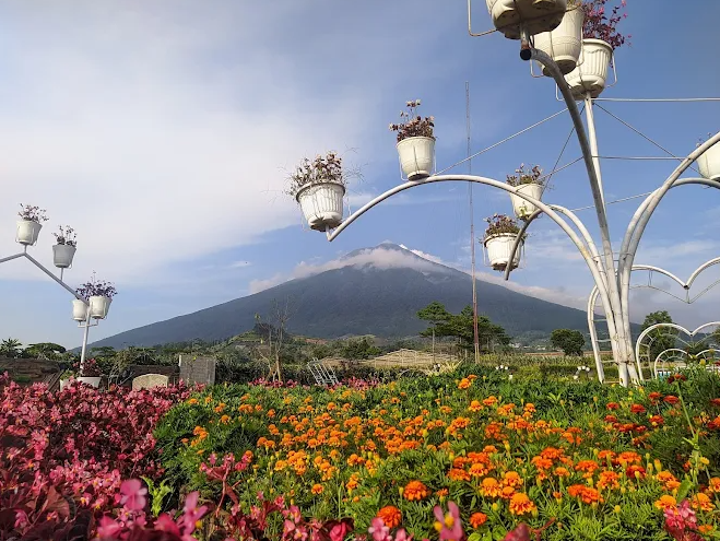 9 Wisata Alam di Purbalingga yang Serasa Keluar Negeri, Pesonanya Bikin Tak Percaya di Indonesia