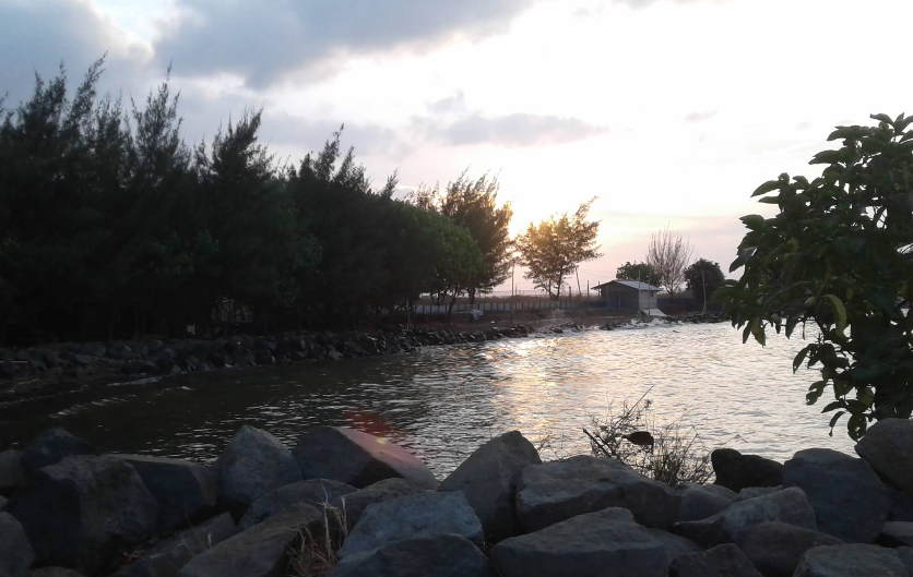 5 Spot Sunset Gratis di Pantai Brebes yang Pemandangannya Bikin Lupa Pulang