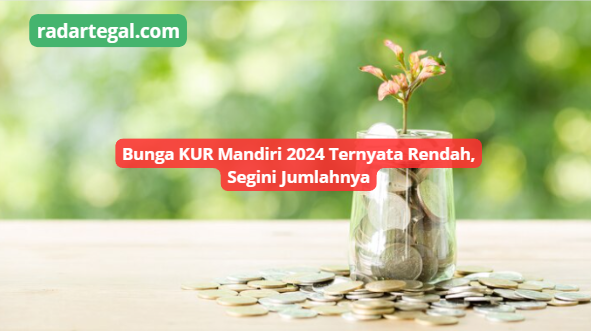 Mengejutkan, Bunga KUR Mandiri 2024 Ternyata Rendah Dengan Limit ...