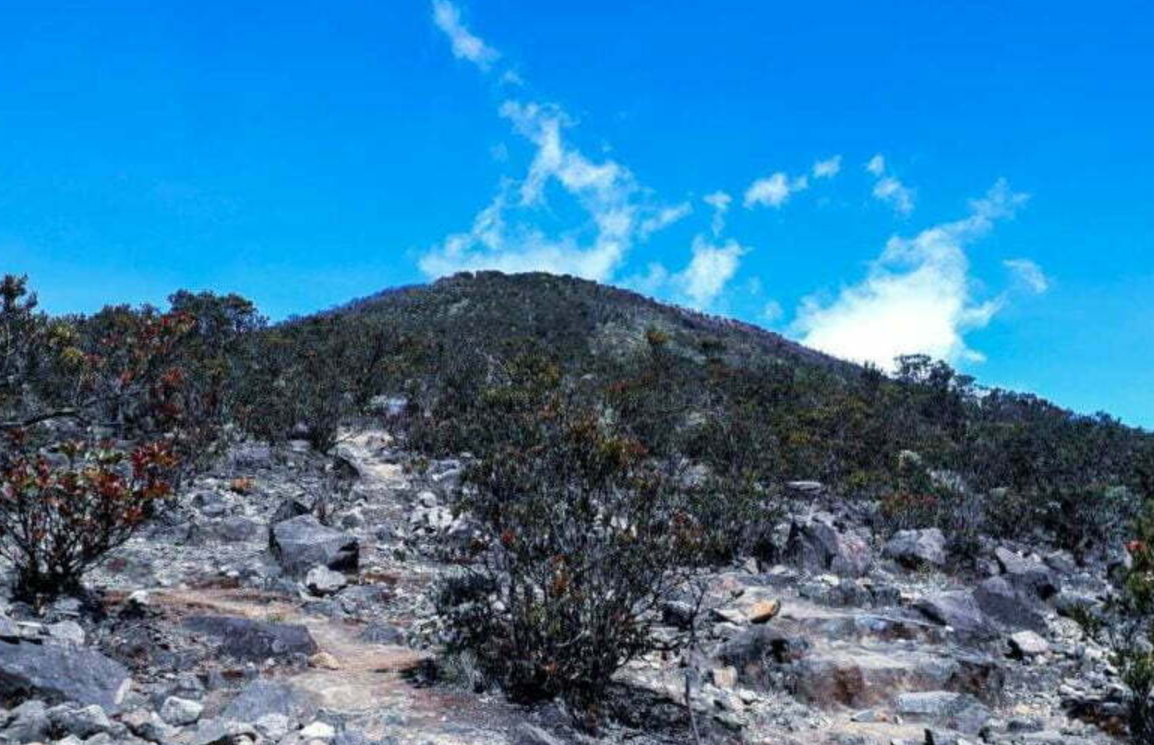 Mitos Pasar Dieng Gunung Lawu yang Jadi Peringatan para Pendaki