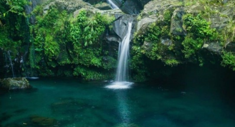 Segudang Mitos Telaga Sunyi Purwokerto, Ini 5 Larangan yang Harus Diketahui Pengunjung!