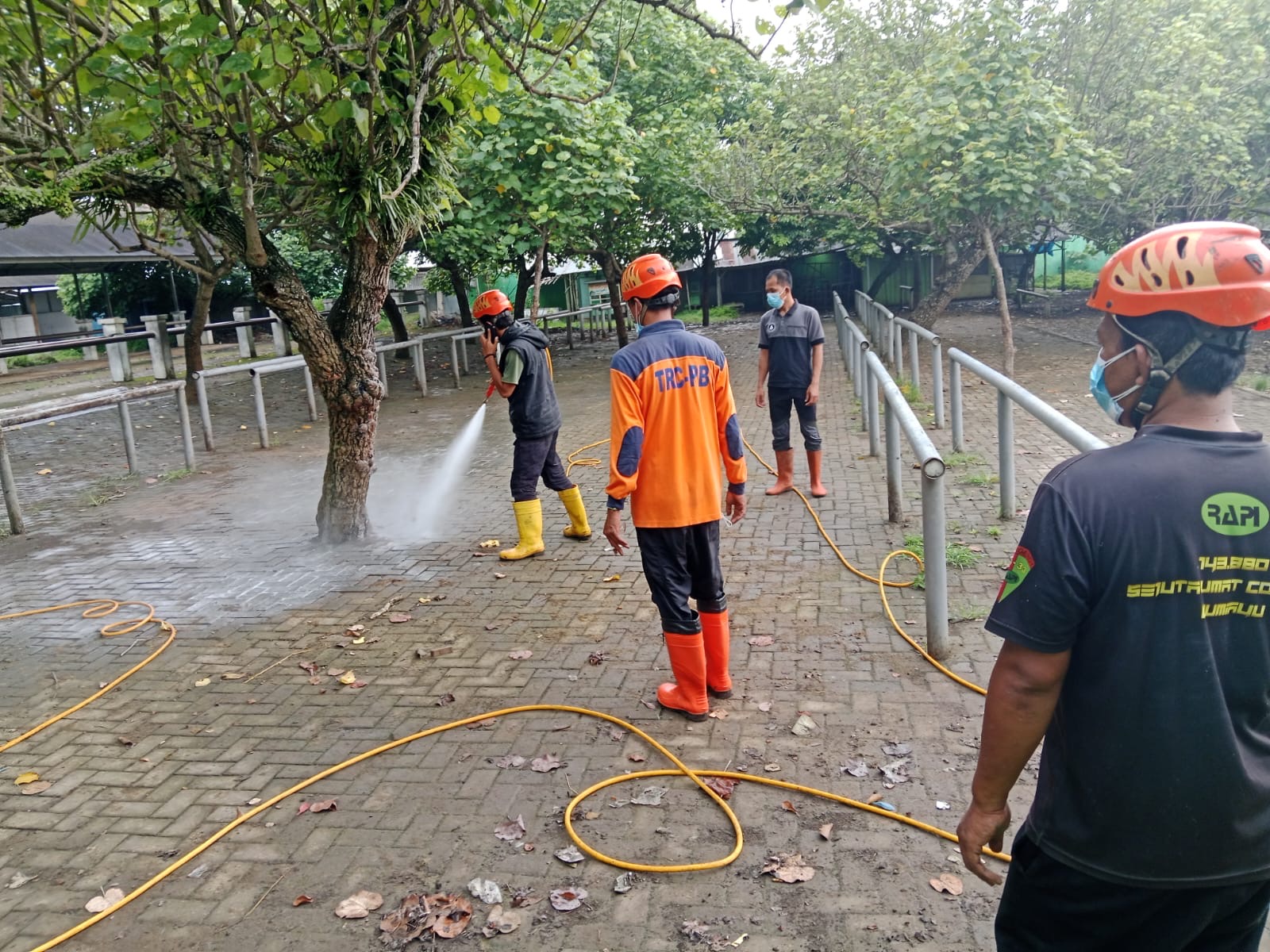 Cegah PMK Meluas di Brebes, Pemkab Semprot Pasar Hewan Bumiayu dengan Disinfektan