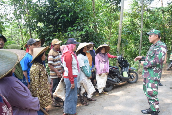 Tinjau Pengaspalan Jalan di Wangkelang Pekalongan, Dansatgas TMMD Harap Hasilnya Maksimal