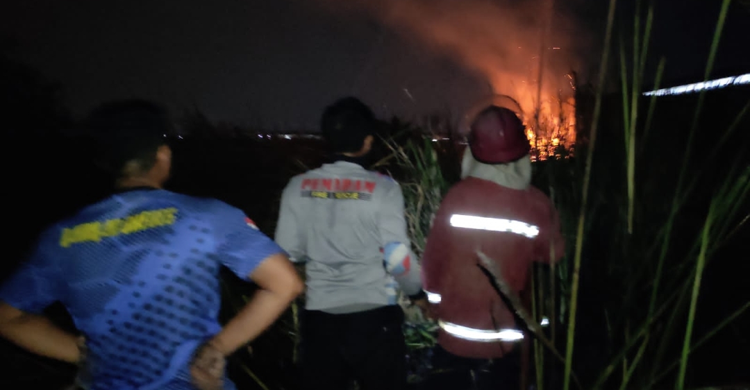 115 Kebakaran Lahan Terjadi di Kabupaten Brebes Selama Januari-Oktober 