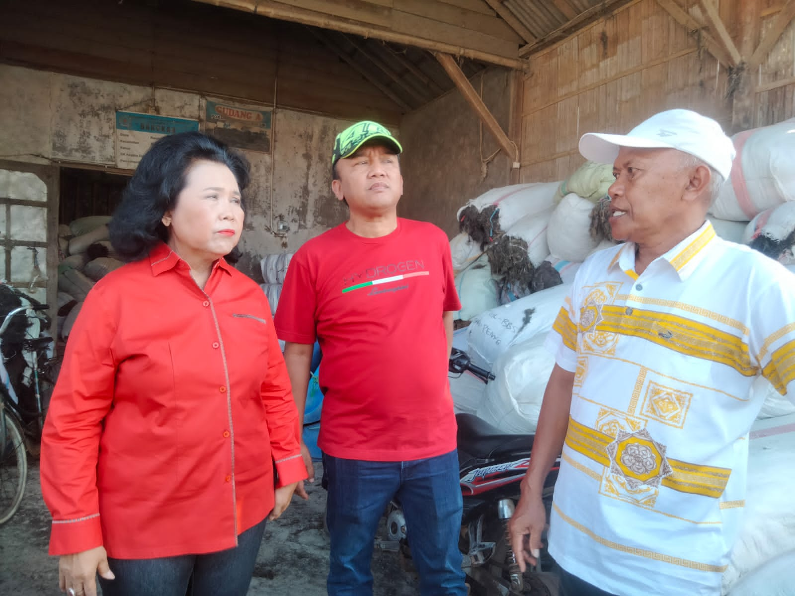 Petani Rumput Laut Brebes Kesulitan Pasarkan Hasil Panen, Sistem Pembayaran Selalu Ditempo 