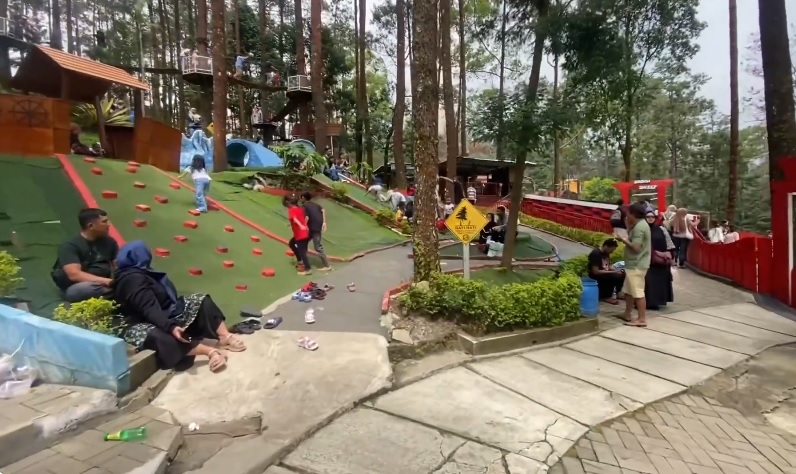 3 Wisata Rekreasi Hutan Pinus Murah dan Lengkap di Jawa Tengah