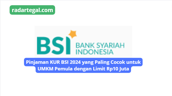Pinjaman KUR BSI 2024 yang Paling Cocok untuk UMKM Pemula, Limit Rp10 Juta  Tanpa Agunan
