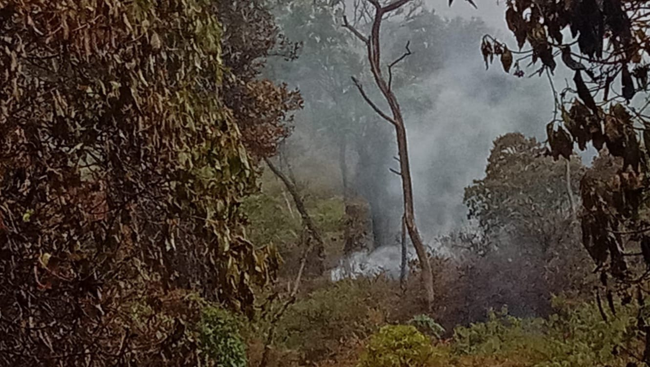 Padam, Kebakaran Hutan Gunung Slamet Kabupaten Tegal Lahap 13,5 Hektare Lahan 