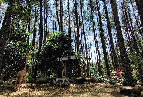 8 Wisata Hutan Jawa Tengah dengan Kabut Mistis ala Film Hollywood