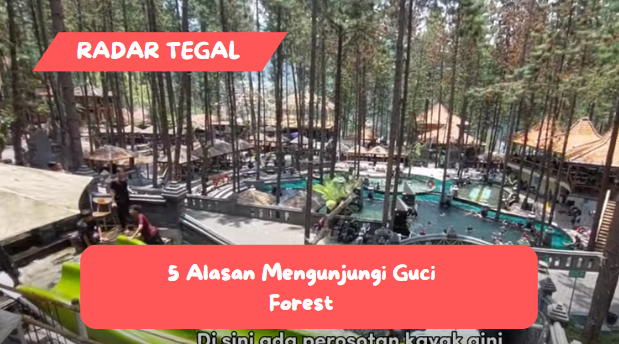 5 Alasan Mengunjungi Guci Forest di Obyek Wisata Guci Tegal, Bikin Kangen dan Pengin Balik Lagi