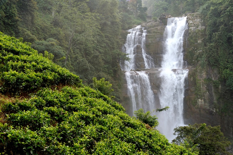 3 Curug di Tegal Tanpa Trek Panjang Aman Buat Pemula