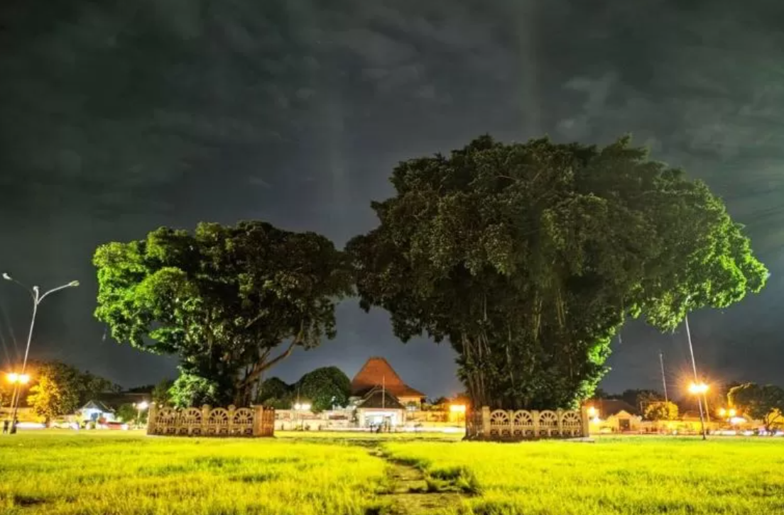 Mitos Beringin Kembar di Alun-Alun Kidul Yogyakarta, Konon Ada Tradisi Sakral Penarik Jodoh