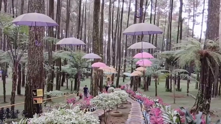 Prabanlintang Tegal: Surga Tersembunyi di Lereng Gunung yang Bikin Lupa Pulang