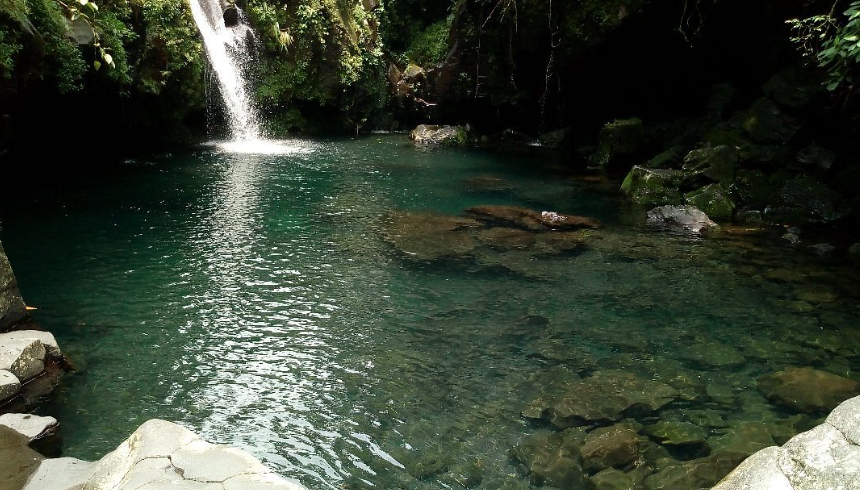 7 Tempat Healing di Purwokerto yang Sejuk, Ada Spot Aliran Sungai yang Dikelilingi Hutan Pinus
