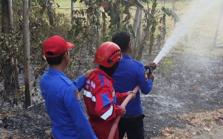 Maraton Padamkan Api, Damkar Tegal Jinakkan Dua Kebakaran Lahan dalam Waktu 7 Jam