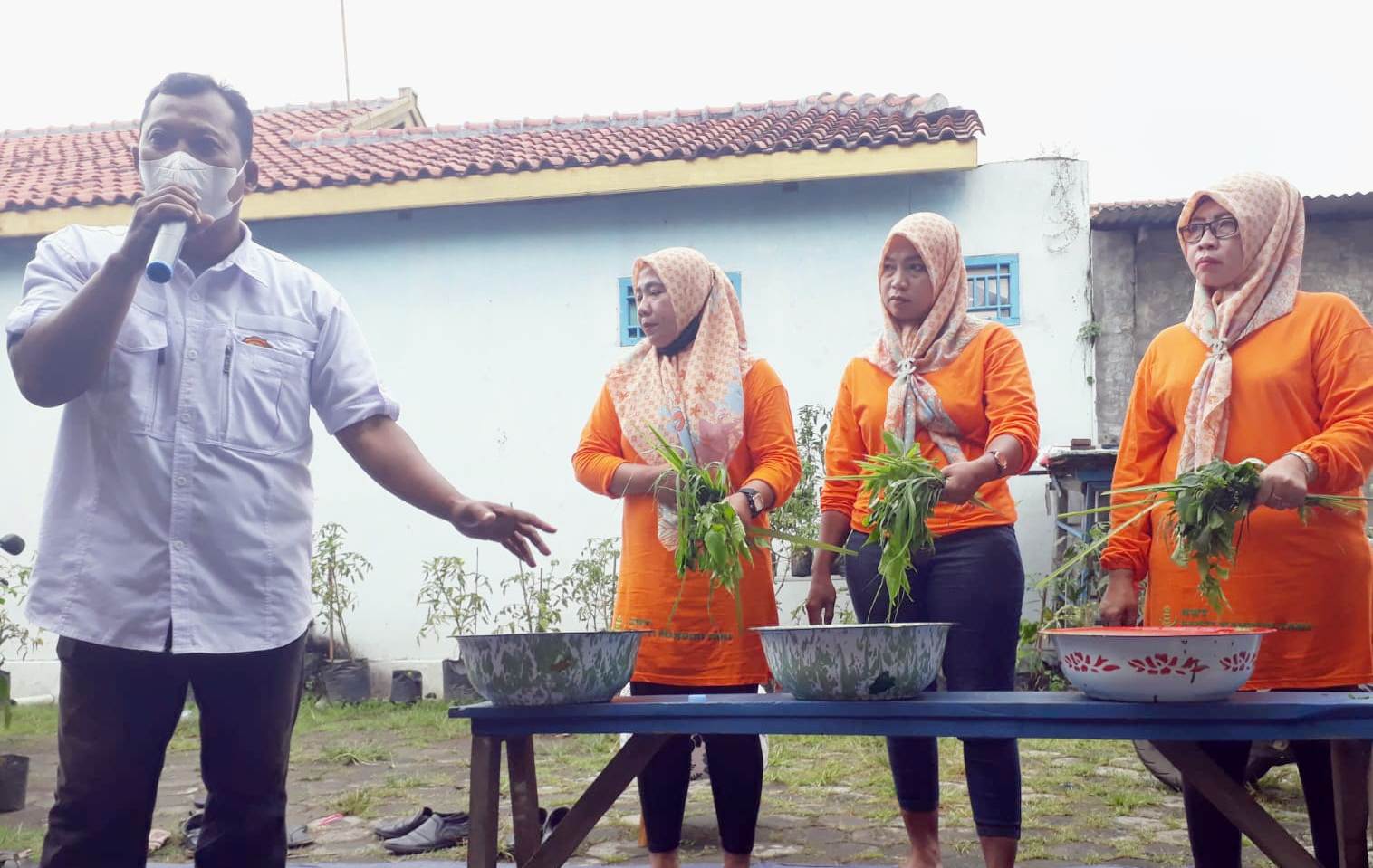Petani Kota Tegal Manfaatkan Rumput Liar untuk Mengatasi Hama, Begini Cara Meramunya