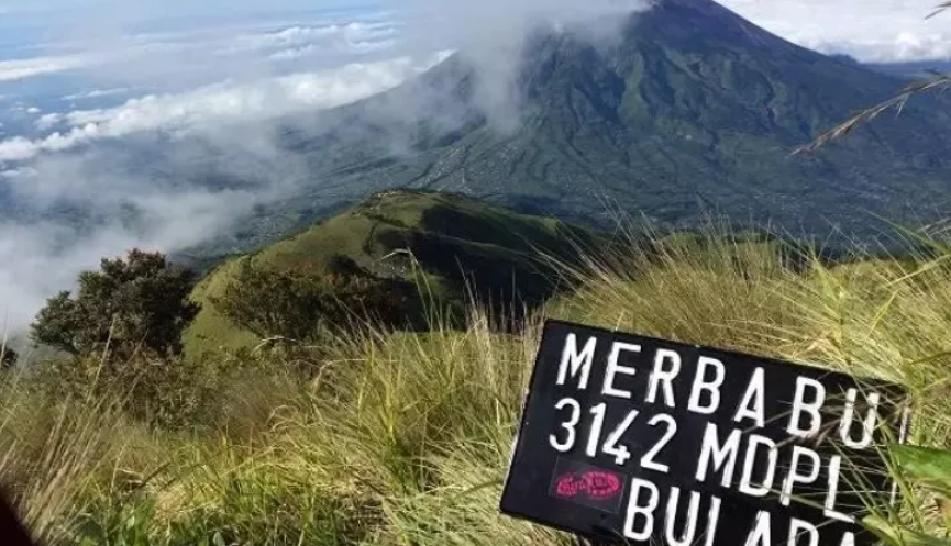 8 Tips Mendaki Gunung Merbabu via Selo untuk Pemula, Ada Hal yang Jangan Sampai Kamu Lupa!