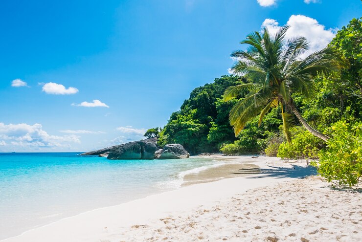 5 Pantai di Tegal yang Populer dan Sering Ramai Dikunjungi, Cocok Buat Healing Bersama Keluarga