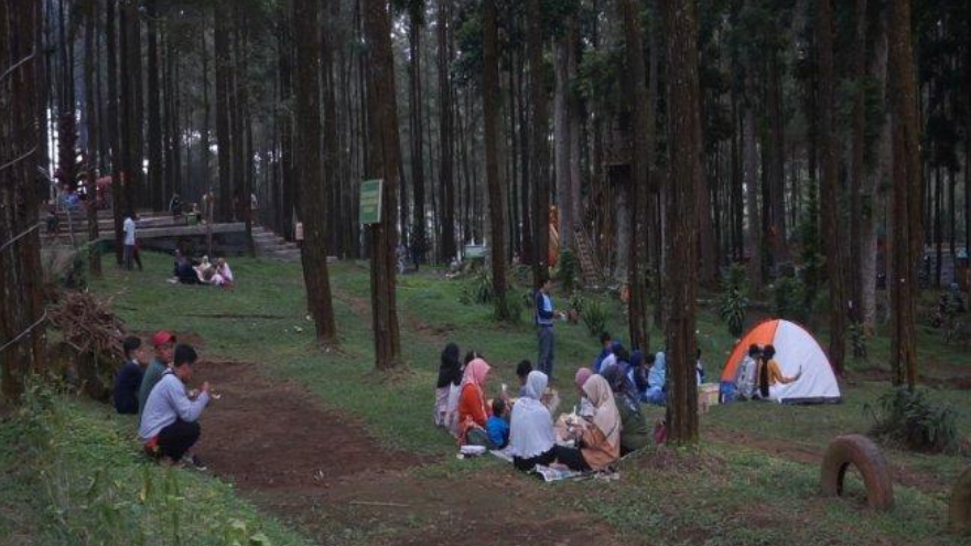 Surga Tersembunyi! Ini 5 Rekomendasi Wisata Alam Tersembunyi di Batang yang Masih Asri