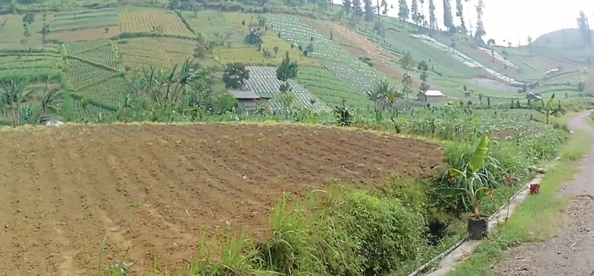 5 Spot Foto Bernuansa Alam di Brebes yang Cantik Banget Buat Feeds Instagram