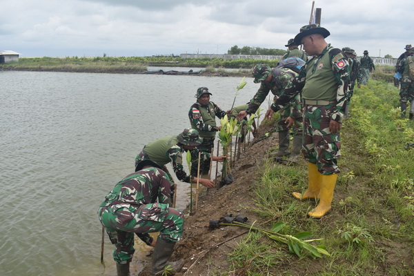 Abrasi Pantura Kian Parah, Kodim 0712 Tegal Tanam 1.200 Bibit Mangrove