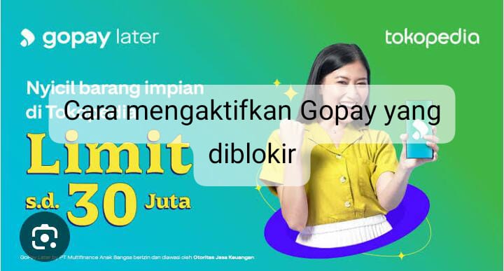 Mudah Banget, Ternyata Begini  Cara Mengaktifkan  Gopay  yang Diblokir! 