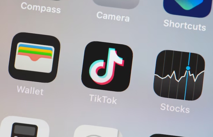 Dapat Uang Cuma Nonton Video TikTok, Bisa Tembus Jutaan!