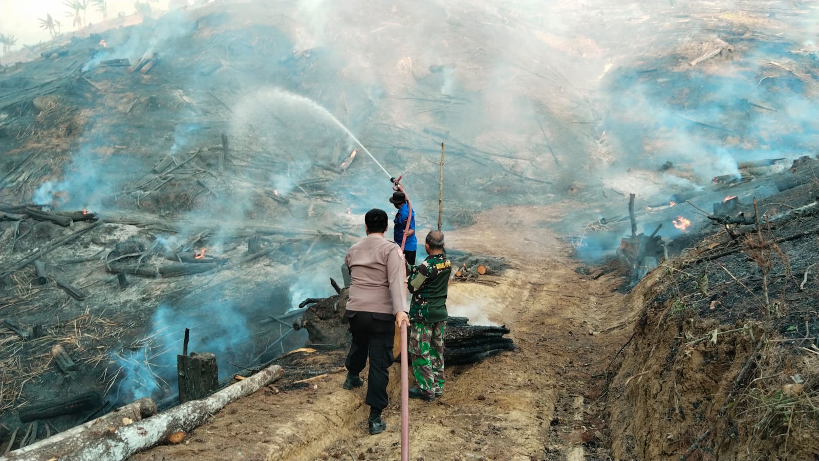 Hutan Pinus di Brebes Terbakar, Kapolsek Paguyangan: Sudah Padam dan Tak Meluas ke Kawasan Lainnya 