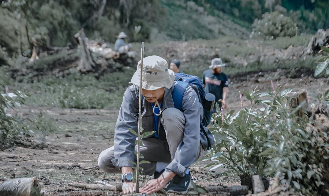 Penghijauan, 11 Ribu Pohon Ditanam di Hutan Lindung Sekitar Gunung Slamet