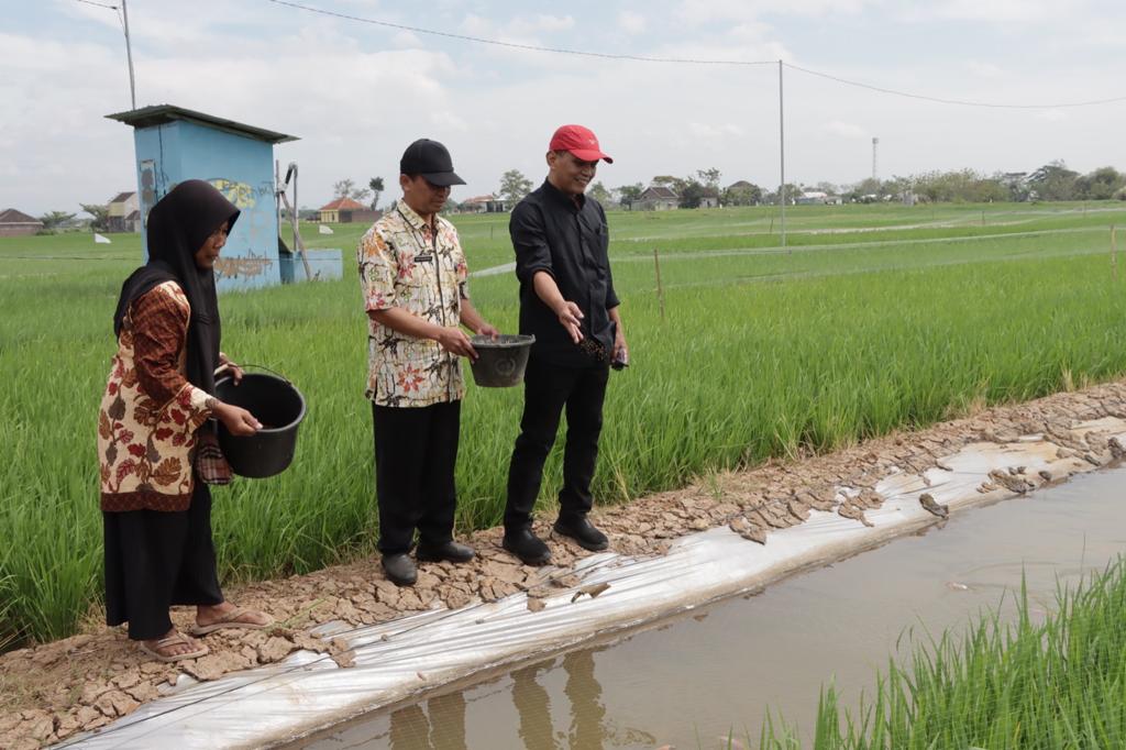 Ketua DPRD Jateng Sumanto Dorong Pengembangan Mina Padi Agar Panen Berlimpah dan Bebas Hama 