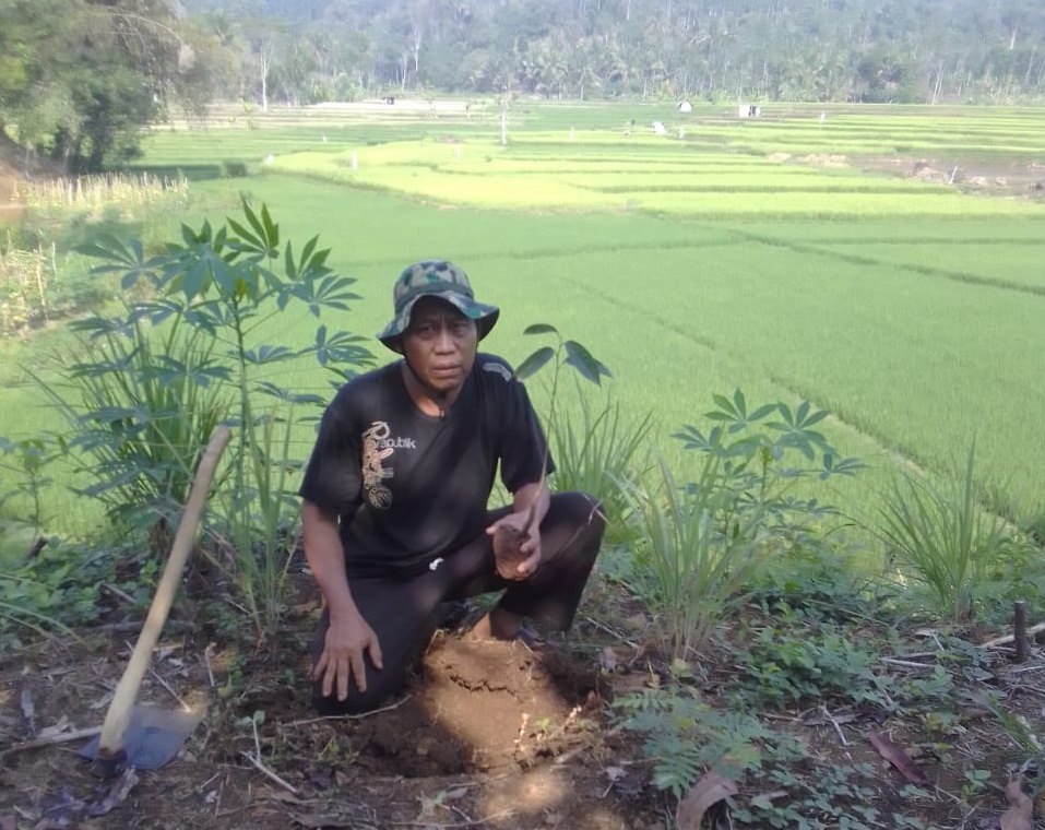 Siaga Bencana, Relawan BPBD Kabupaten Tegal Lakukan Aksi Tanam Bibit Pohon 