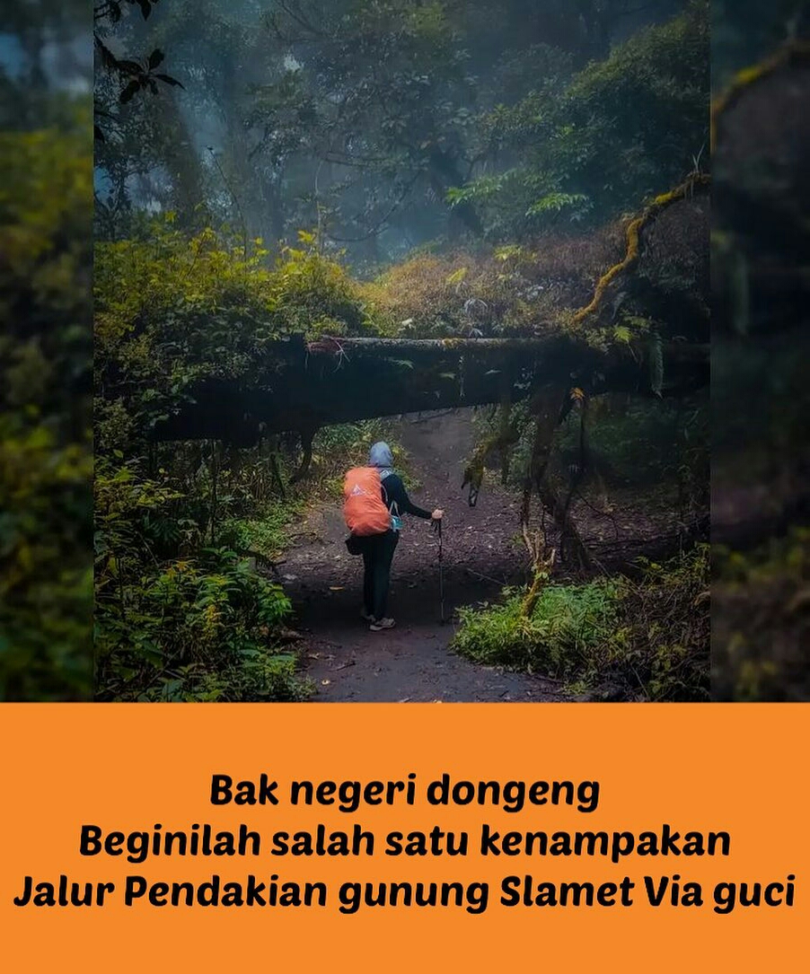 Dibalik Misteri Gunung Slamet Yang Angker Penuh Mistis Dan Mitos , Kini ...