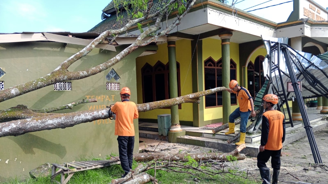 Gara-gara Angin Kencang, Masjid di Desa Winduaji Brebes Tertimpa Pohon Besar yang Roboh 