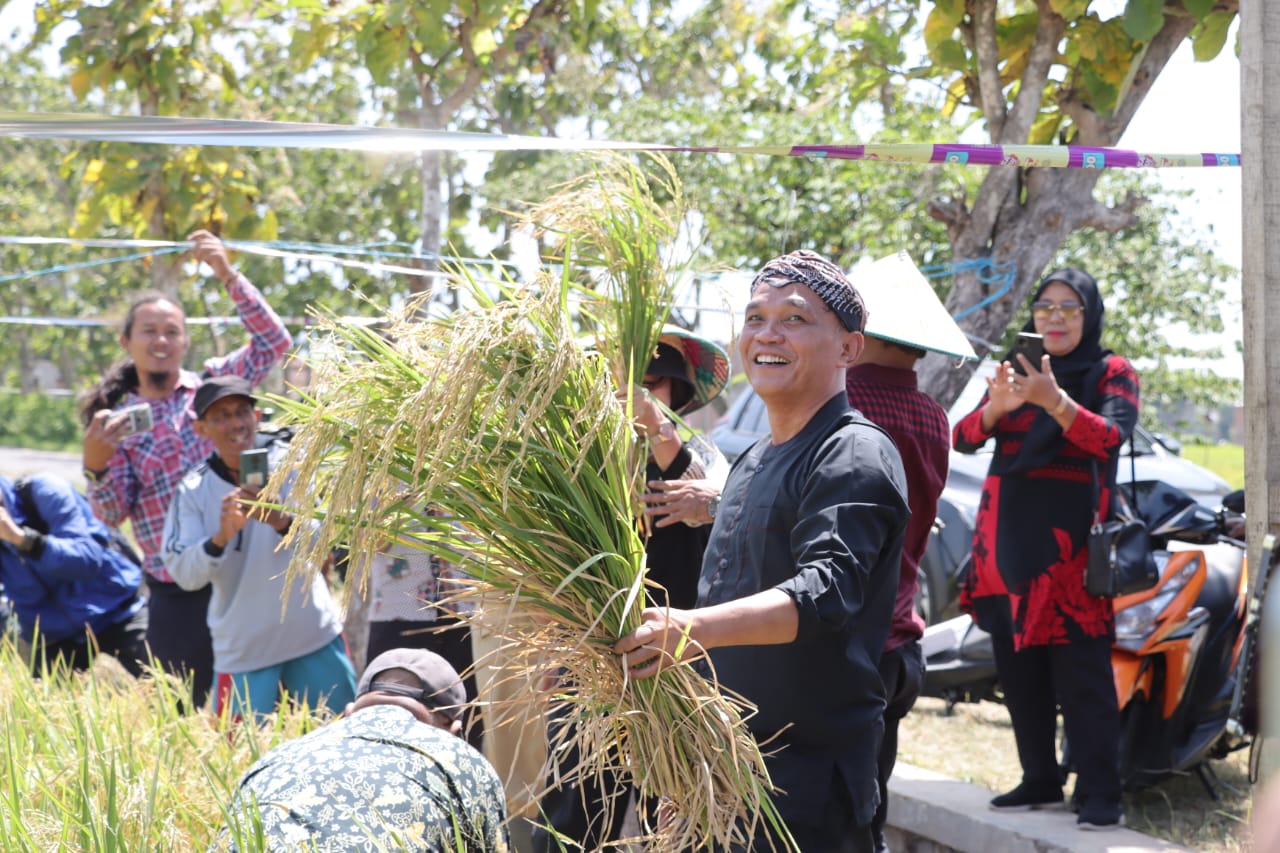 Ketua DPRD Jateng Sebut Petani Tidak Bingung Lagi Pupuk Mahal, Panen Mina Padi di Karanganyar Melimpah