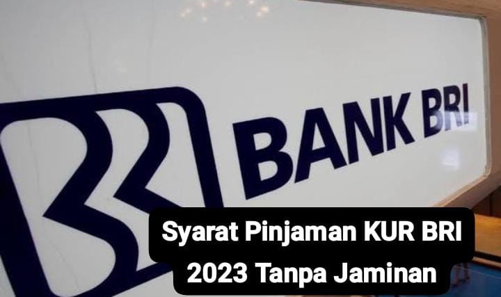 Syarat Pinjaman KUR BRI 2024 Tanpa Jaminan untuk Plafon Sampai dengan 100 Juta