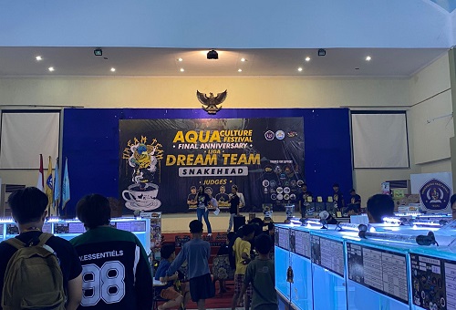 Mahasiswa Akuakultur UPS Tegal Gelar Exhibition Liga Dream Team Snakehead, Wadah Penghobi Hewan Aquatic