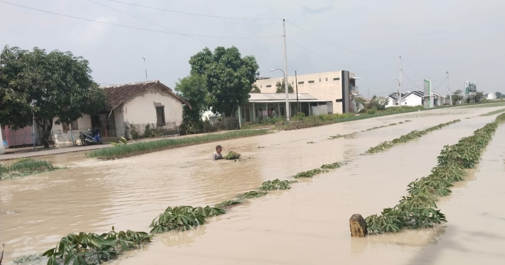 35 Hektar Lahan Bawang Merah di Brebes Terendam Banjir