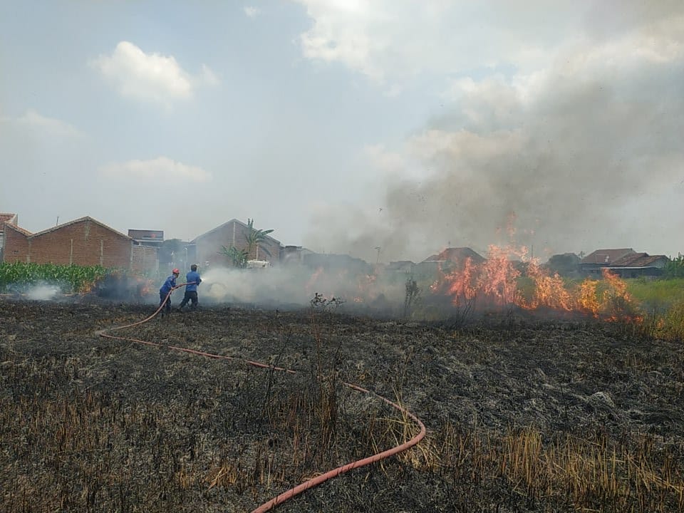 4 Kebakaran Lahan di Kabupaten Tegal Sehari, Damkar Ungkap Pemicunya