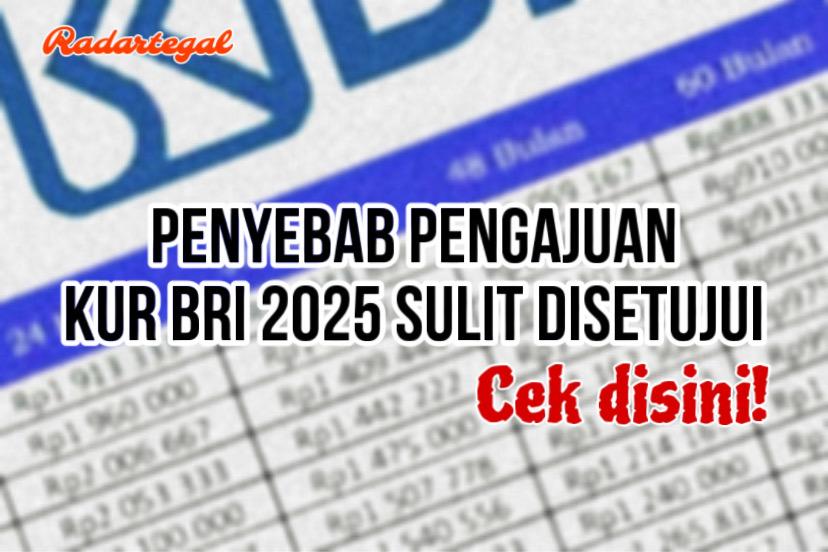 Pinjaman di Bank Ditolak? Ternyata Ini Penyebab KUR BRI 2025 Sulit Disetujui