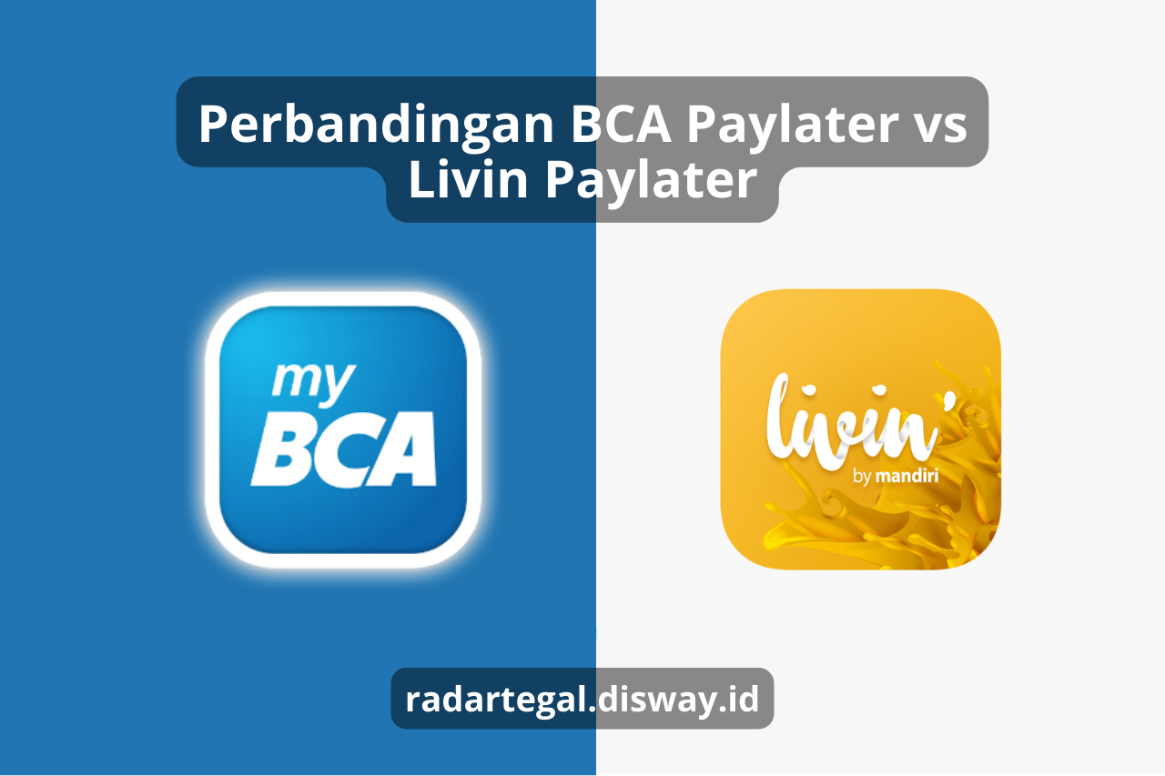 Perbandingan BCA Paylater vs Livin Paylater, Limit Mana yang Paling Menguntungkan untuk Belanja Online