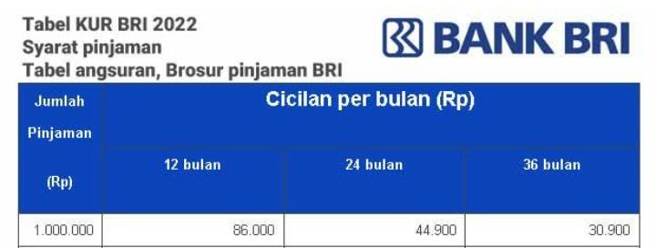 Intip Pinjaman KUR BRI 2023 Capai Rp500 Juta Tanpa Jaminan, Ini Syarat dan Bunganya!